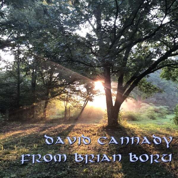 From Brian Boru album cover