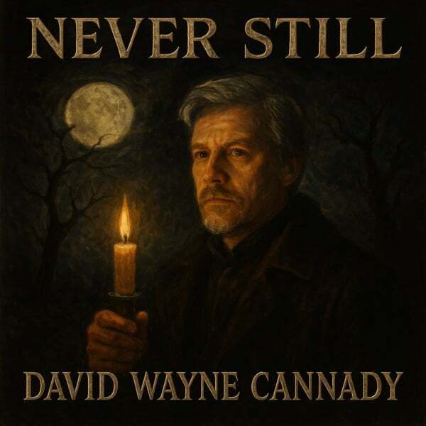 Never Still album cover