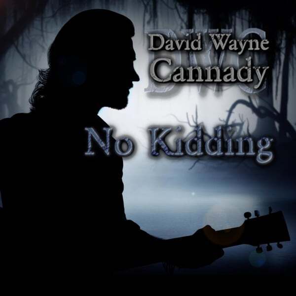 No Kidding album cover